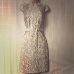 Ellen Tracey winter white/taupe dress